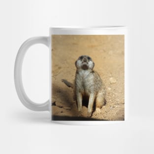 Meerkat 031 Mug